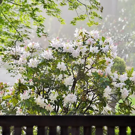 Charmilles Des Cordeliers Bed & Breakfast Paris